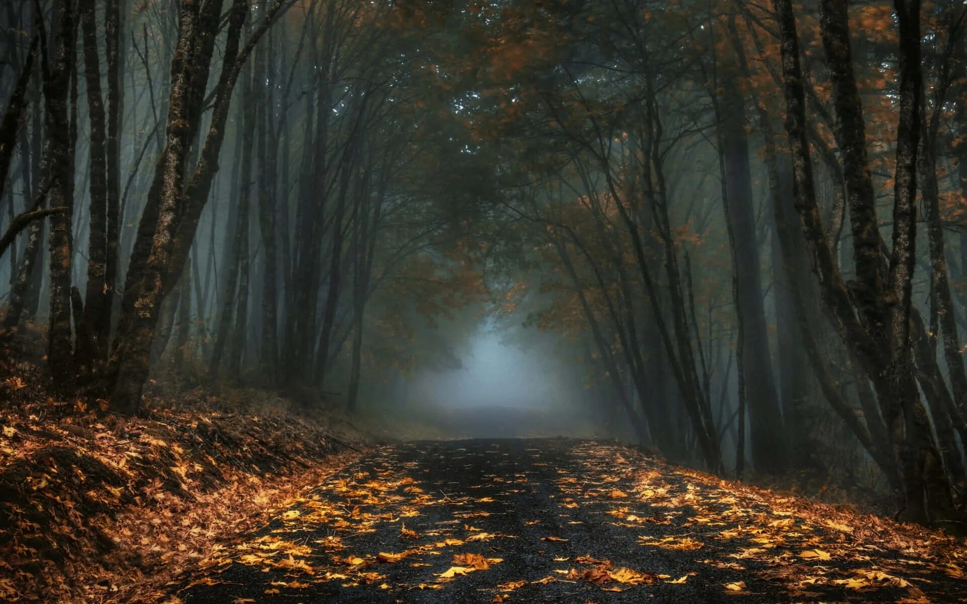 Fall in the dark