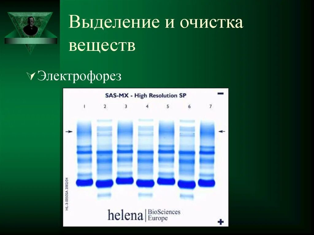 Методы очистки белка. Методы выделения индивидуальных белков. Методы выделения и очистки веществ. Метод очистки белков электрофорез. Способы выделения и очистки белков.