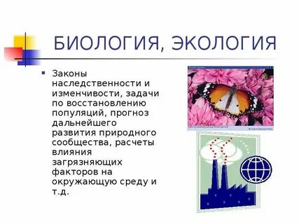 Экологические и биологические системы