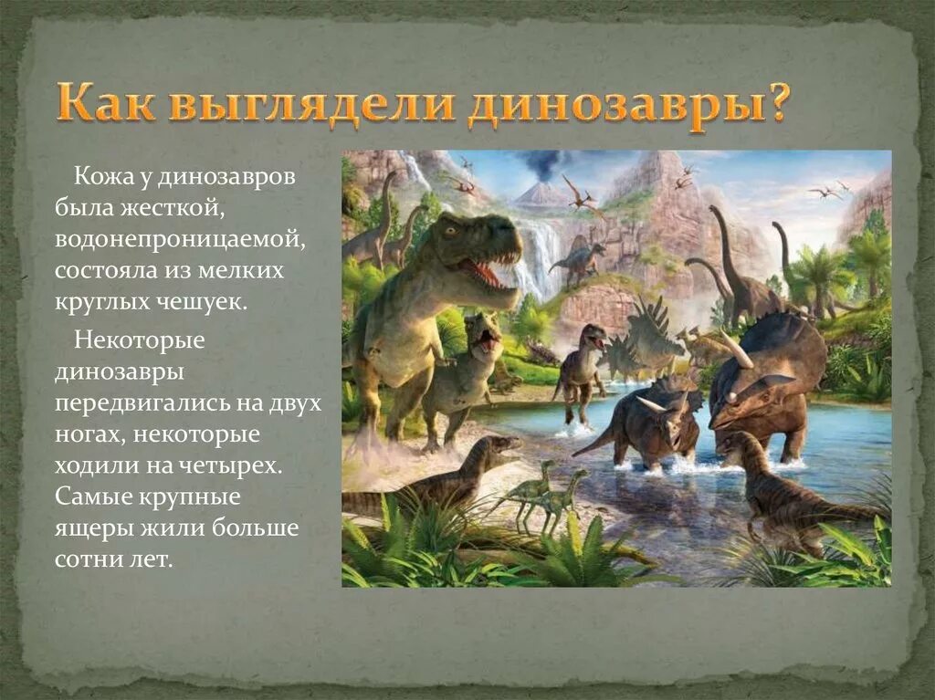 Когда жили динозавры видеоурок. Периоды в которых жили динозавры. Когда жили динозавры. Динозавры жили с людьми. Где жили динозавры для детей.