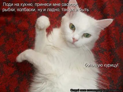 Ладно так уж и быть