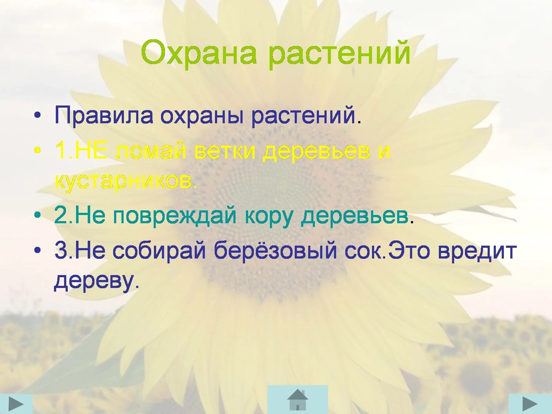 Охрана растений презентация 3 класс окружающий