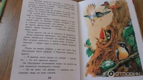 Читательский дневник лесные домишки