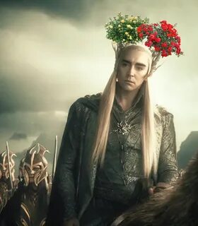 Сколько эльфов