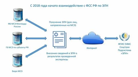 Элн 2024