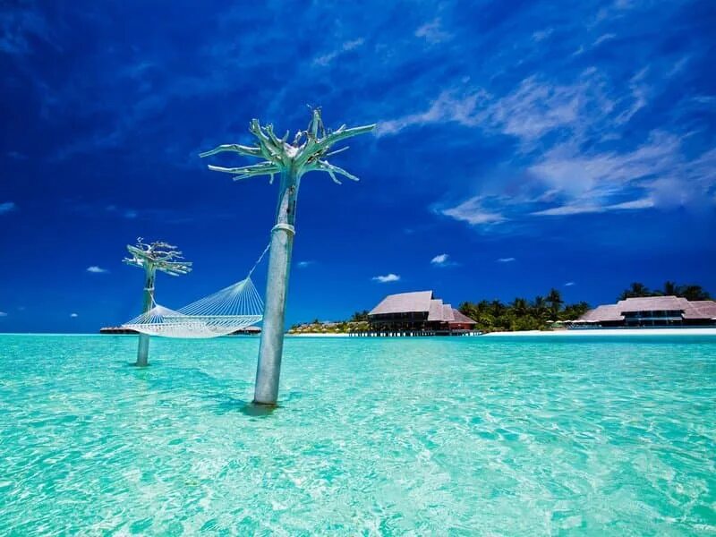 Связь на мальдивах. Park hyatt maldives hadahaa 5 deluxe. Йога тур мальдивы. Связь на мальдивах. Мальдивы развлечения.