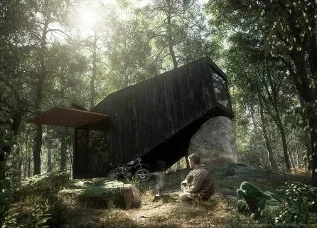 The forest house
