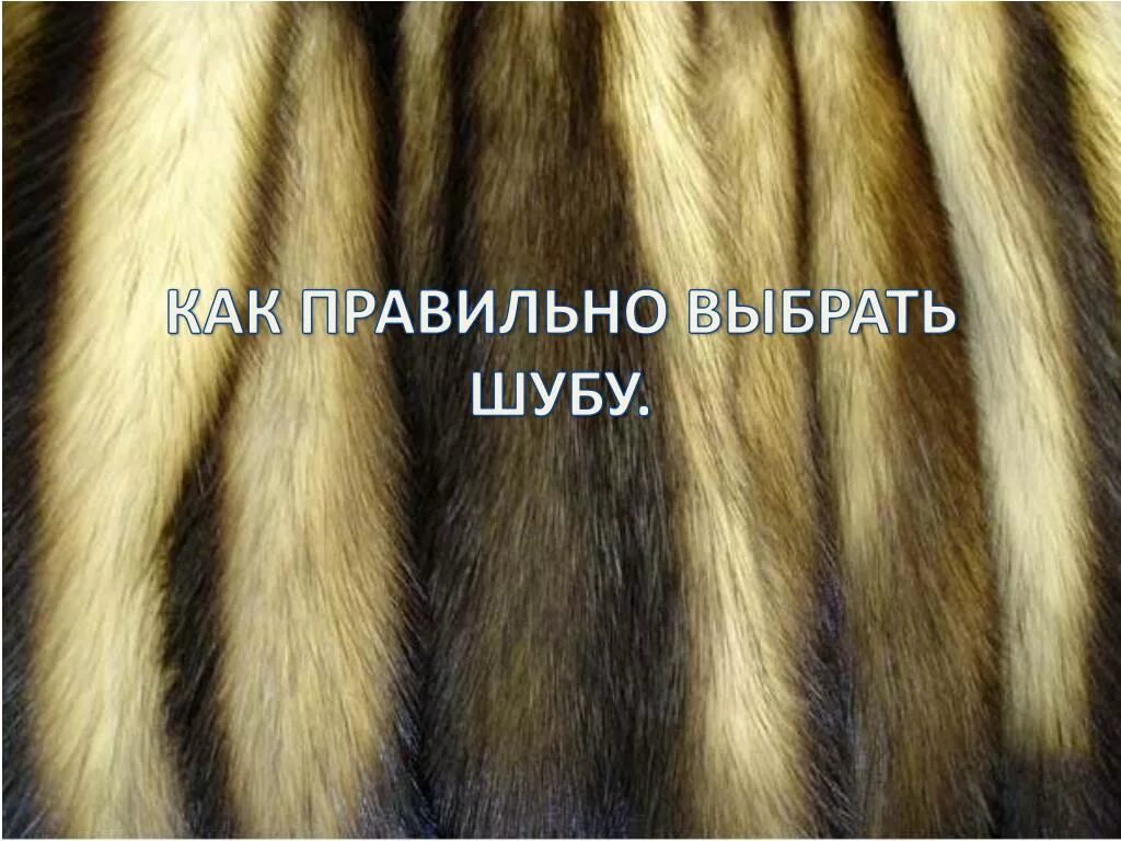 Как определить мех на шубе. Хонорик мех. мех хорька. шуба из хорька. шуба из хоря.