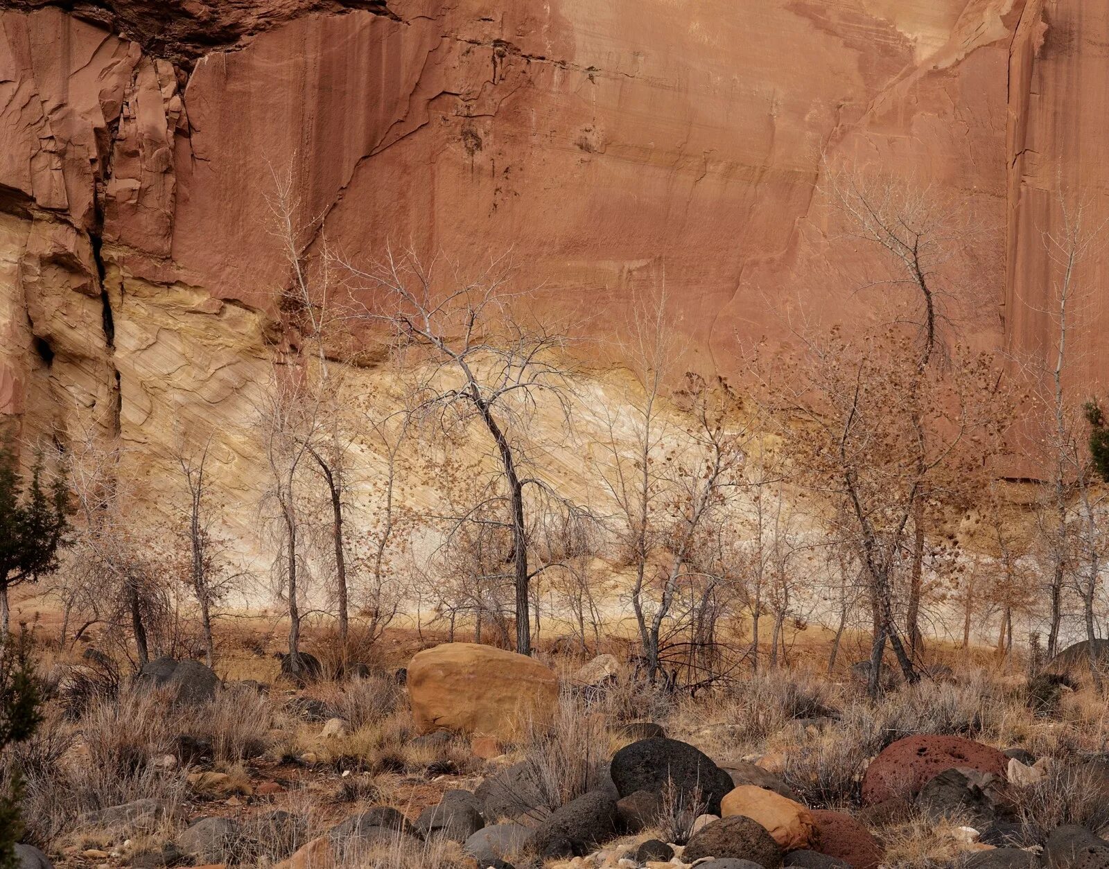 Стены ущелья. Canyon wall. Терракотовый каньон. Canyon wall. Canyon wall.