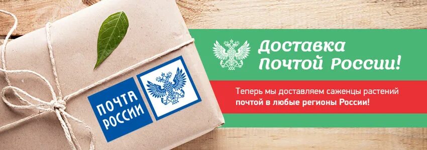 ВСЕСОРТА ру интернет магазин. Почта России цветы. Доставка саженцев почтой. Магазины цветы по почте России Москва садовые товары.