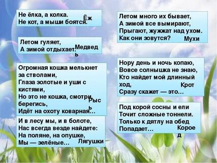 Загадка об объекте живой природы