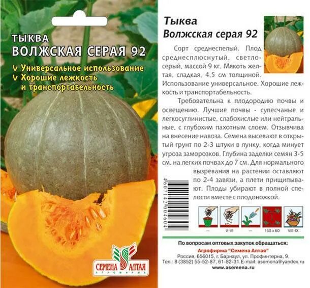 Тыква "волжская серая 92" 2г б/п гавриш. Тыква сорт серая волжская. Тыква волжская серая 92. Тыква крупноплодная волжская серая. Тыква волжская серая отзывы описание сорта.