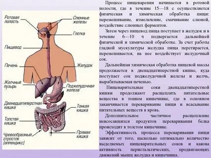 Полость поступать