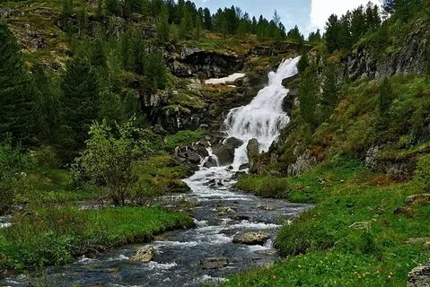 Анос горный