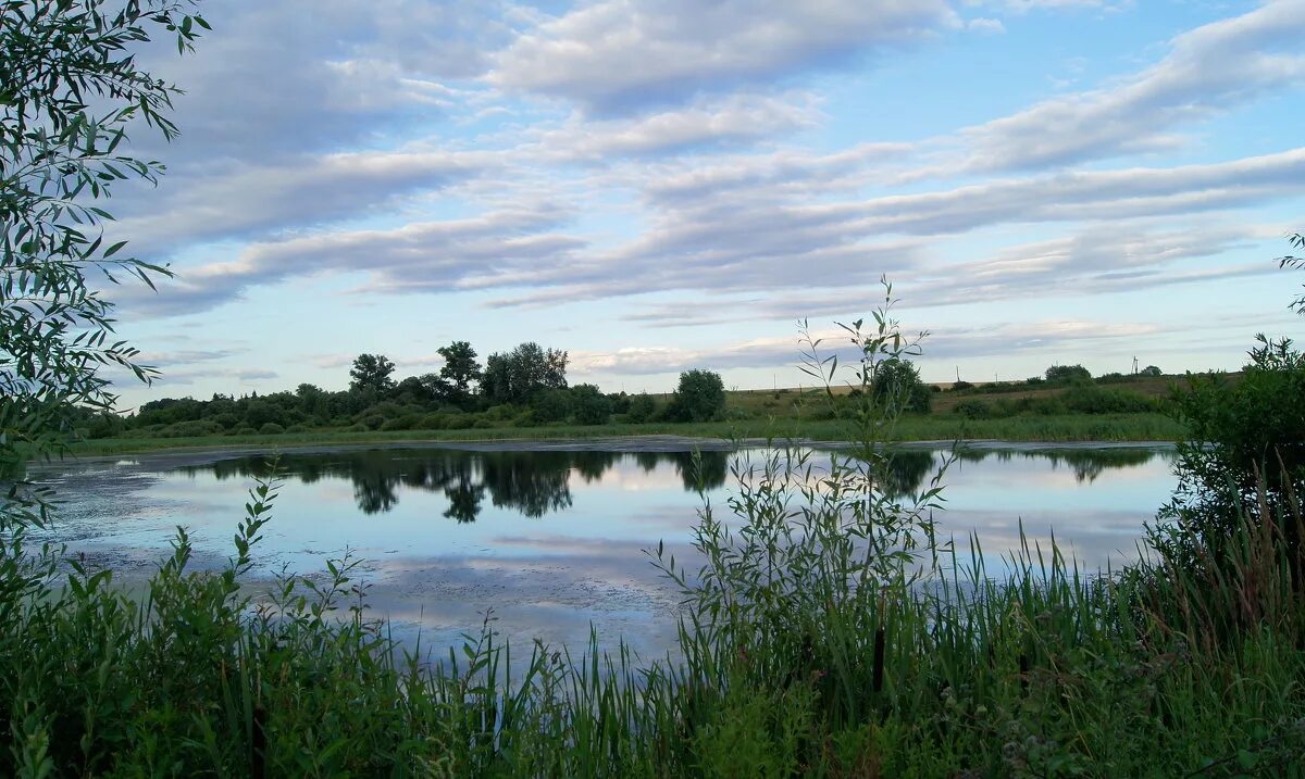 дмитровский район орловской области лубянки озеро. пруд лубянки дмитровский район орловская область. селькин пруд дмитровский район орловской области. песье щапово. тростинка киевская область пруд.