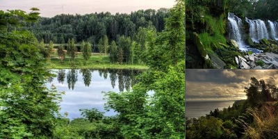 эстония природа