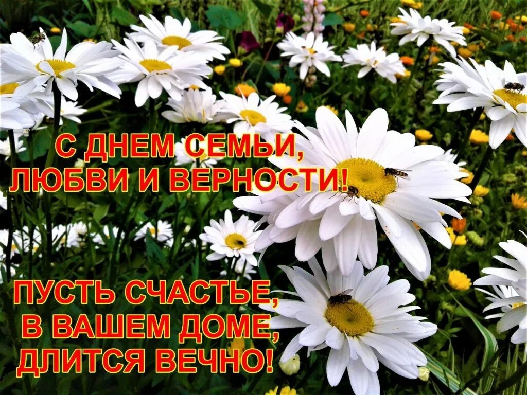 Пусть счастье будет вечным. Пусть счастье в доме длится вечно. с днём семьи и верности пусть счастье. пусть счастье в доме длится вечно с днем семьи. пусть счастье в доме длится вечно картинки.