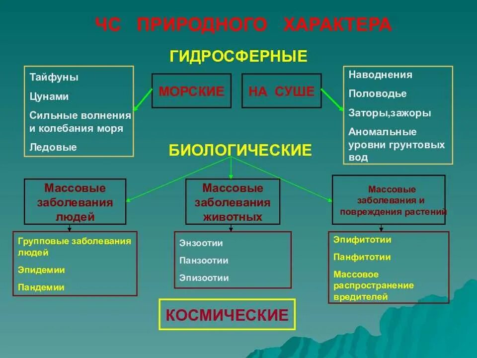 Стихийные бедствия обж 5 класс. Биологические ЧС природного характера. ЧС биологического характера. Биологические Чрезвычайные ситуации классификация. Виды ЧС биологического характера.