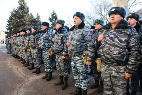 Сводный отряд полиции