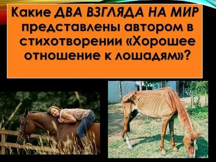 Отношения к лошадям маяковский анализ