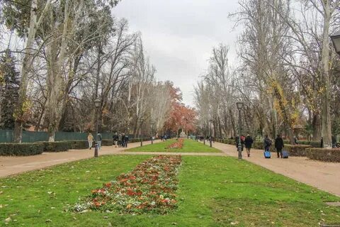 Приятный парк