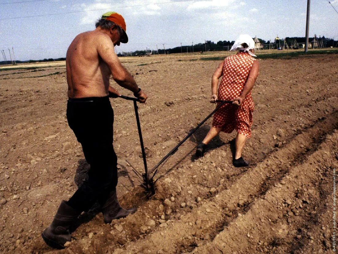 Пахать землю. Пахать грядки. Пахать на даче. Женщины пашут поле. Тянет плуг в борозду