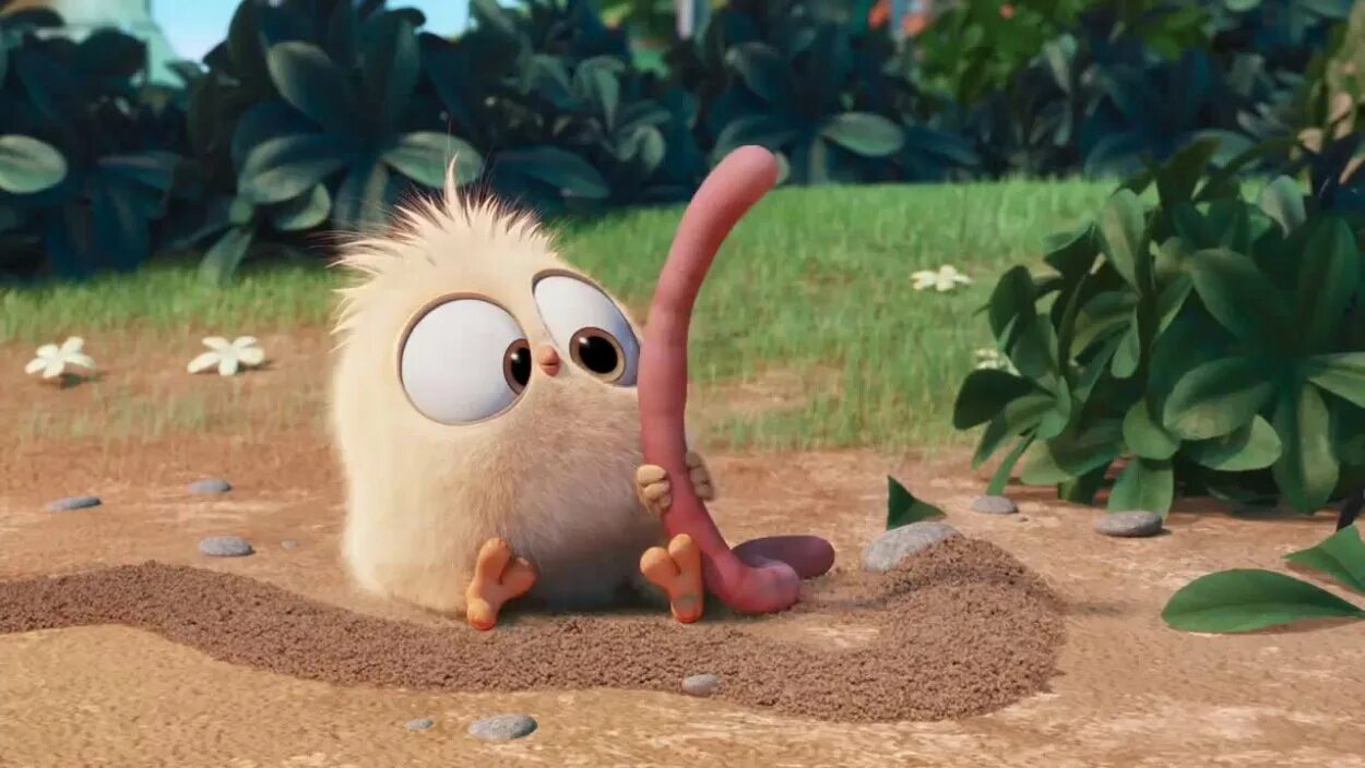 Цыпленок червяк. The early hatchling gets the worm мультфильм 2016. Цыпленок ест червяка. Цыпленок с червяком. Цыпленок клюет.