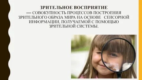 Зрительное восприятие окружающей среды