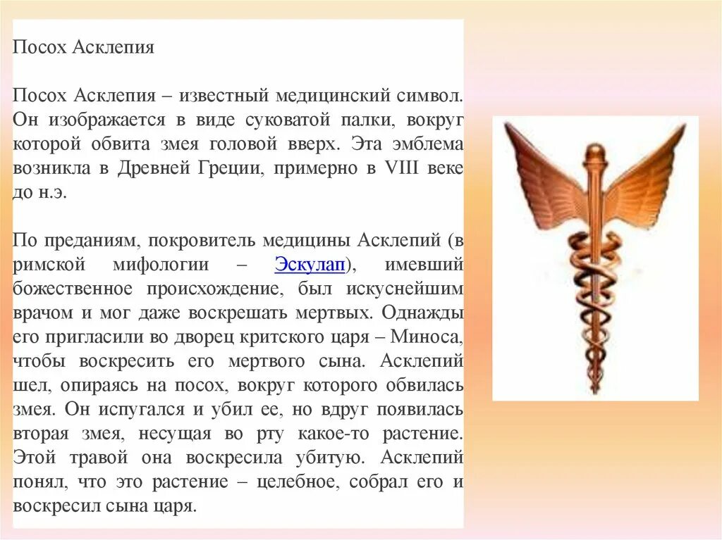 Почему символ змея. Посох асклепия. почему змея символ медицины. посох асклепия виды. посох асклепия древняя греция.