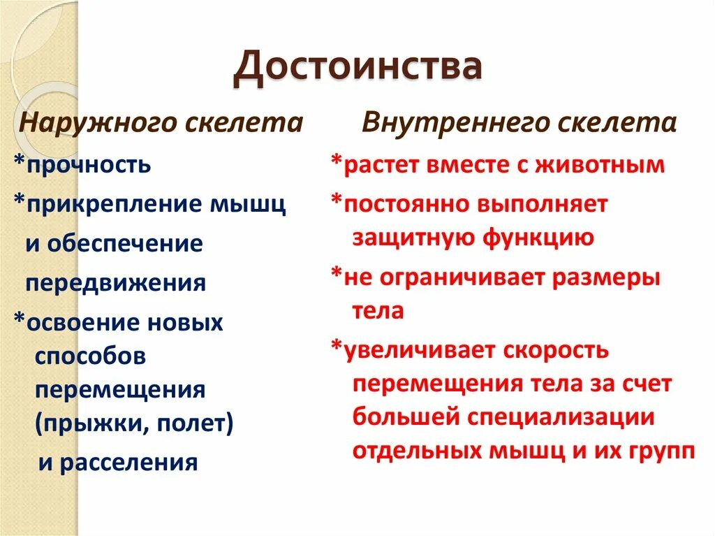 Преимущества и недостатки внешнего скелета. Достоинства и недостатки внутреннего скелета. Наружный скелет. Функции внутреннего скелета.