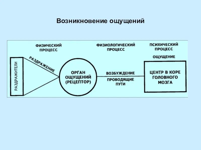 Возникающие в процессе