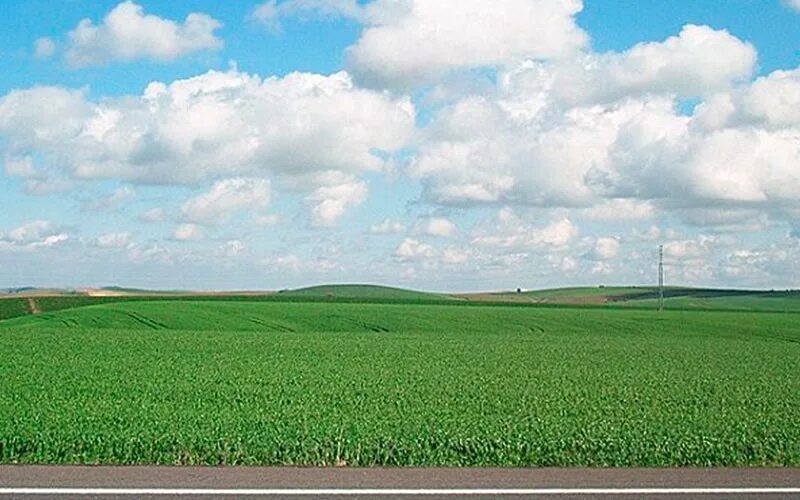 Поле горизонтальный. Поле с дорогой горизонтально. поле вид с боку. дорога в поле вид сбоку. дорога по горизонтали.