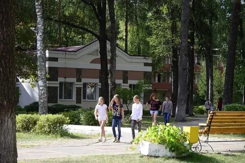 Снежка брянск отзывы