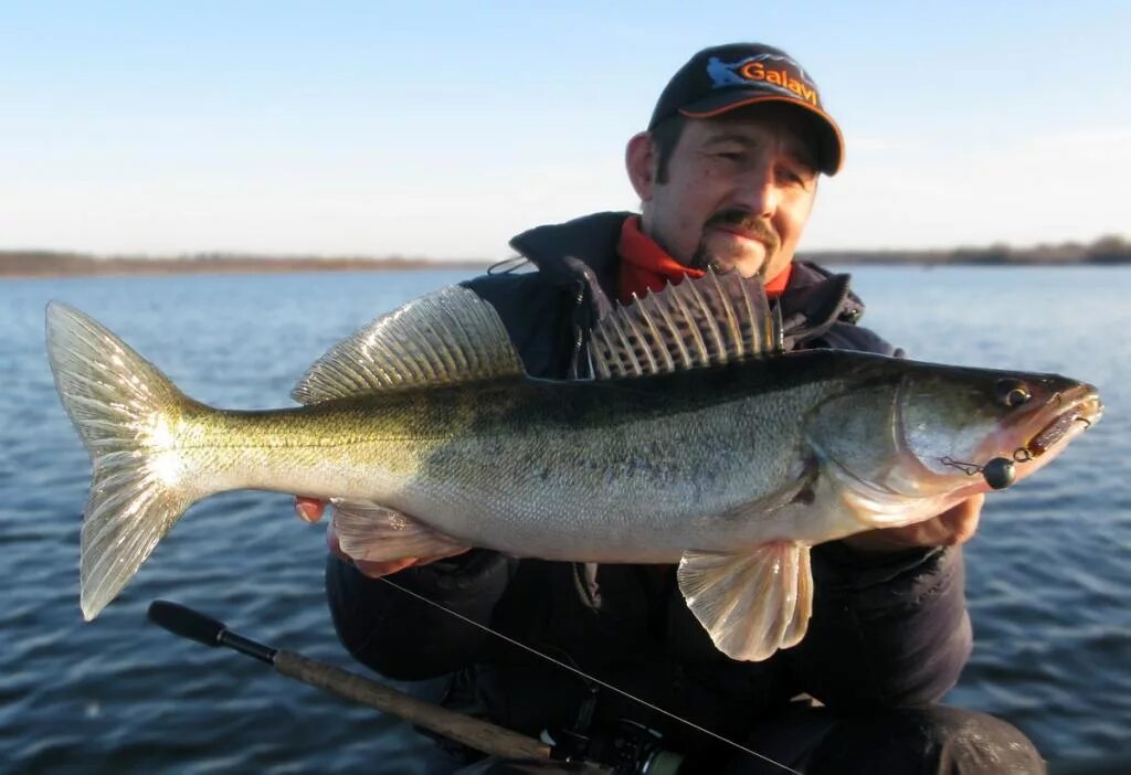 Рыбалка Рыбинское водохранилище Судак. Рыболовные базы на Рыбинском водохранилище. Рыбалка на Горьковском водохранилище. Плотва на Рыбинском водохранилище.