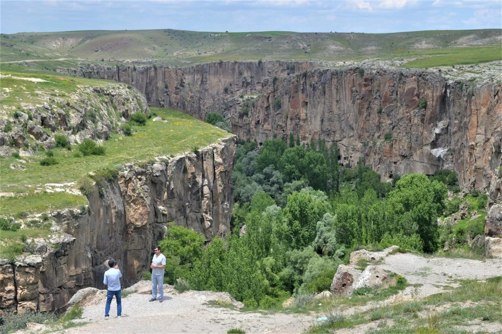 красота горного алтая уймонская долина. межгорные котловины алтая. южные холмы. есть долина. Movili.