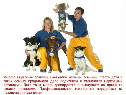 Став цирк