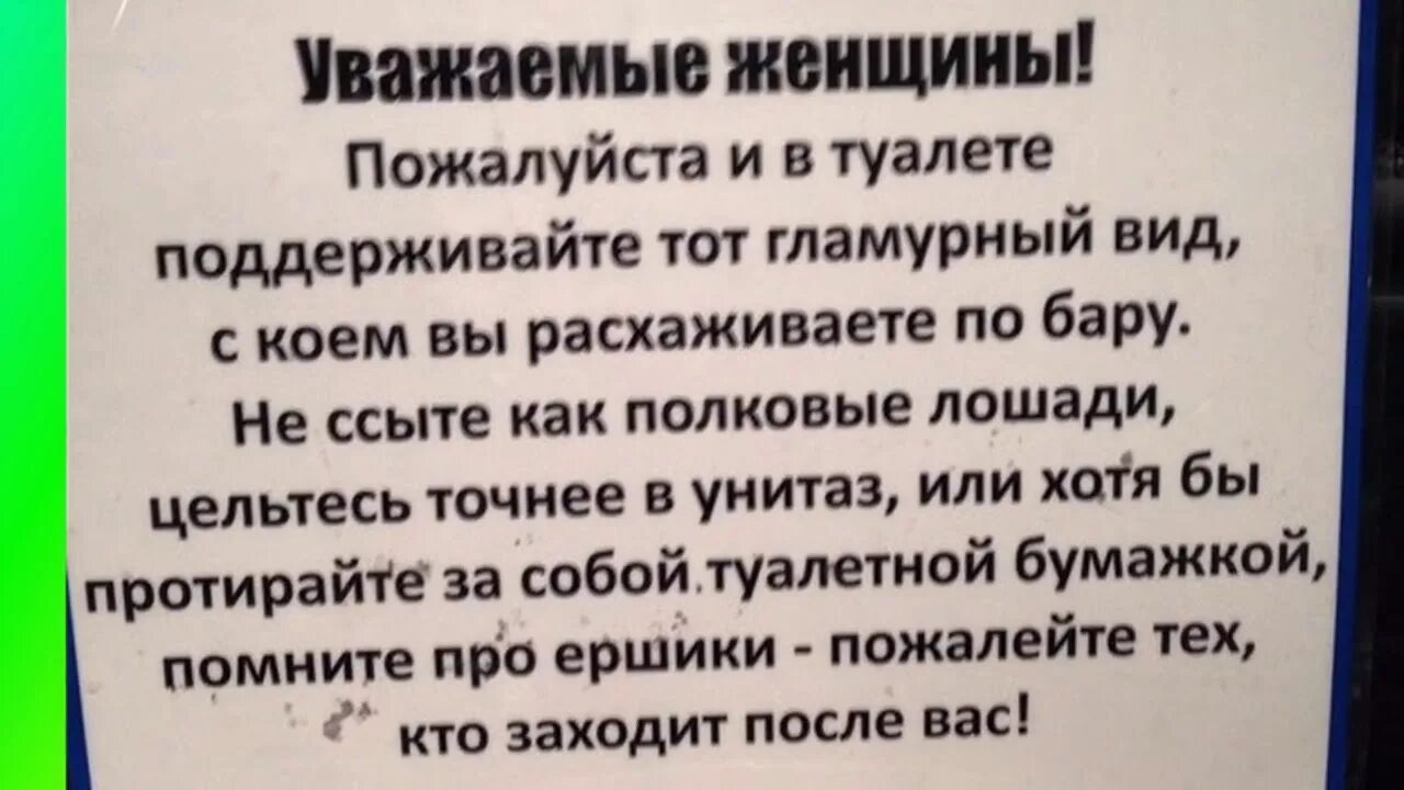 Уважаемые девочки. Уважаемые женщины. объявление уважаемые женщины. объявления в туалет свинья. объявление в туалет про лошадь.