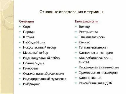 Термины которые используются для описания селекции