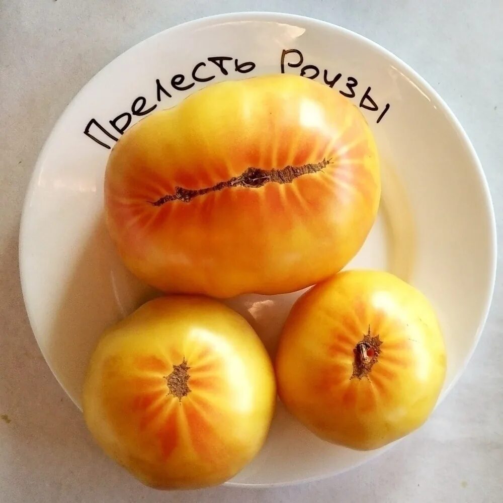 Томаты прелесть отзывы. Томат роузи. Томат амана оранж f1 партнер. Томаты прелесть отзывы. Томат прелесть роузы семена.