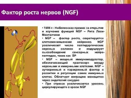 Фактор роста открытие