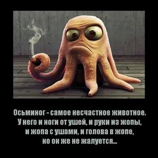 Засунула осьминога