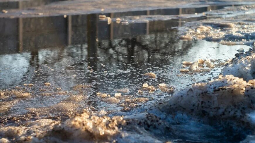 Паводок в казахстане 2024 закрытие трасс. Ограждения от подтопления. Паводок в селе. Звери на льдине от наводнения. Сооружения для задержания паводка.