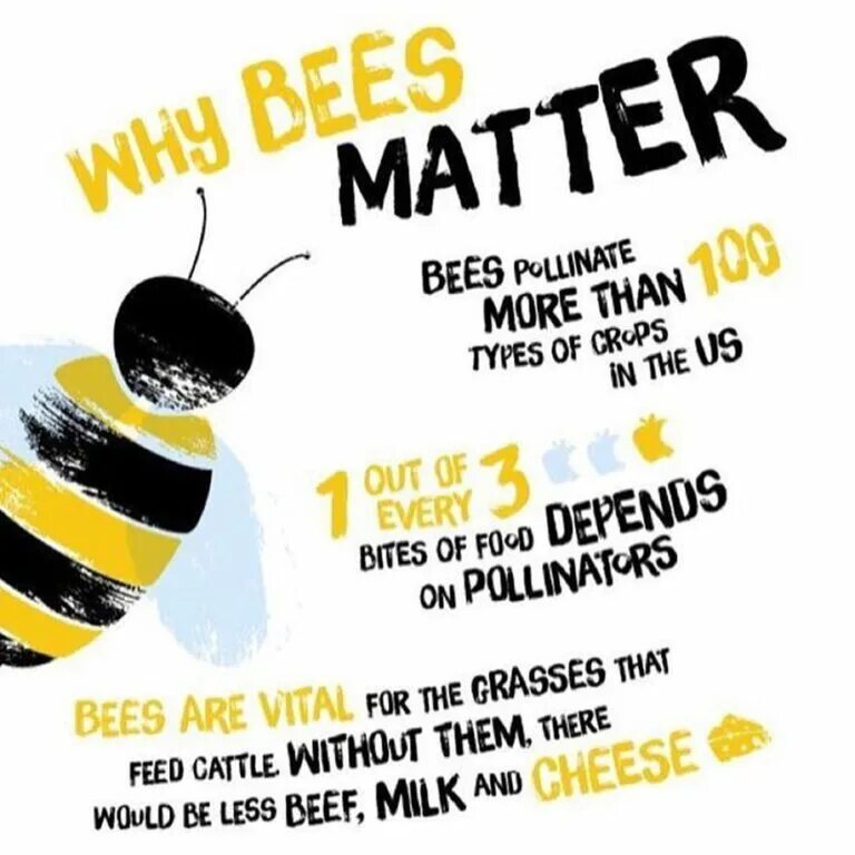 Why do bees to this. Save the bees. save bees poster. bee market. sts bees.
