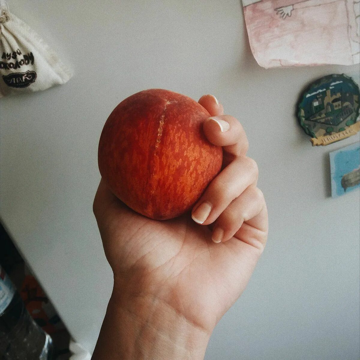 Персик в руке. Нектарин в руке. Мужчина держит персик в руке. Фото персика в руке. Фрукты в руках.