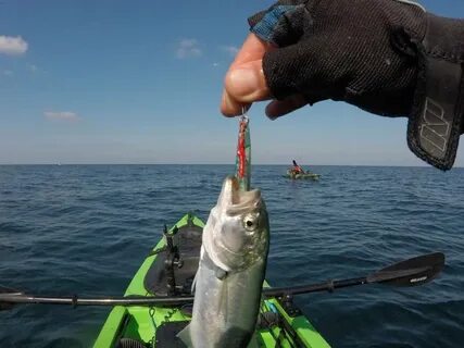 Что ловится в черном море с берега