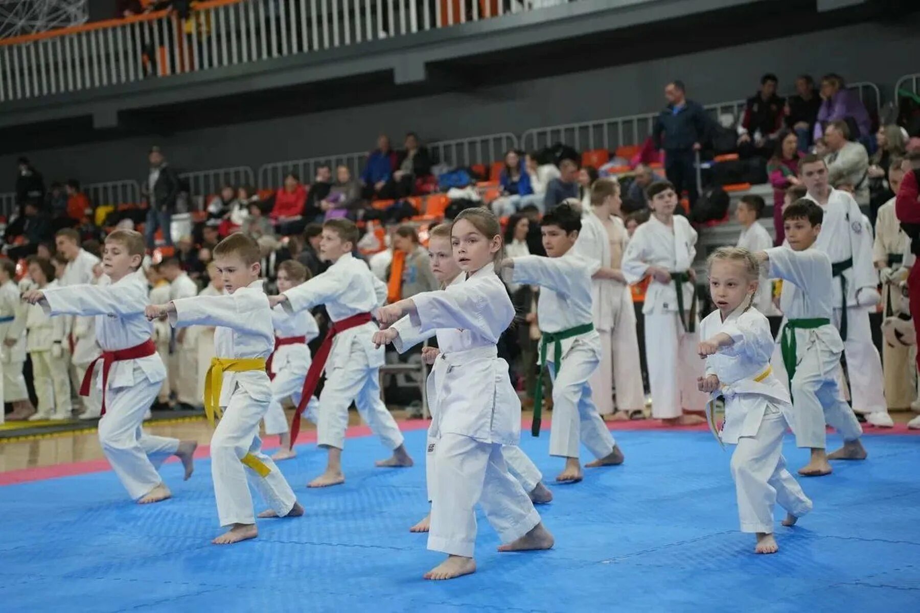 Всероссийские соревнования по всестилевому каратэ. Всероссийские соревнования по всестилевому каратэ. Чебоксары. Всероссийский соревнования по карате в туле. Тула арена всероссийский фестиваль всестилевое каратэ.