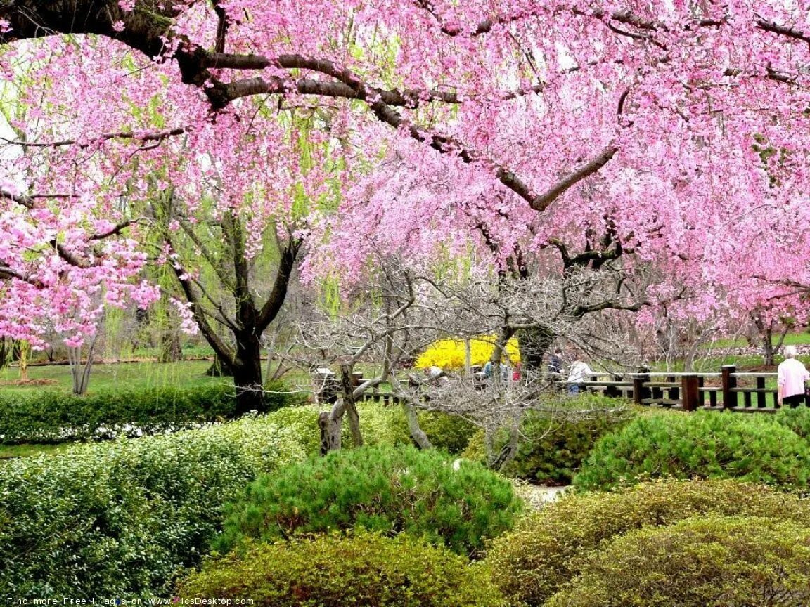 Springtime