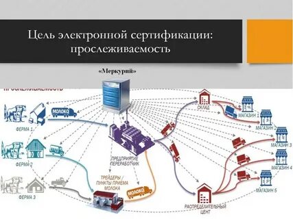 Эдо прослеживаемость