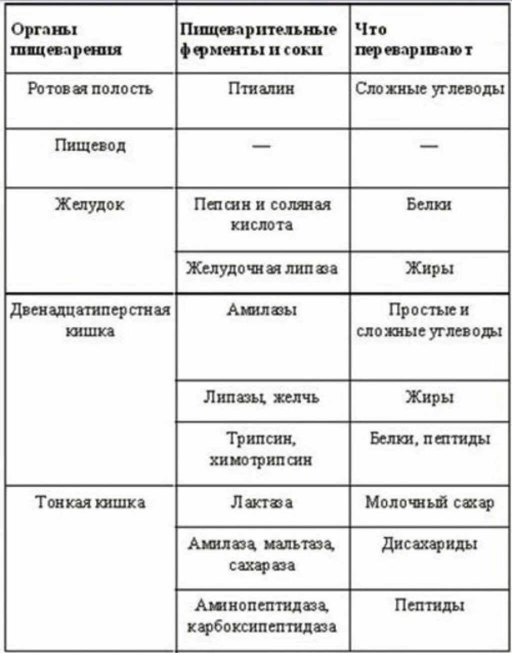 Ферменты пищеварительного тракта таблица. Ферменты пищеварительной системы таблица. Строение и функции пищеварительной системы таблица. Ферменты пищеварительной системы человека таблица.