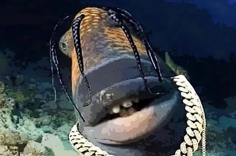 Travis scott fish meme